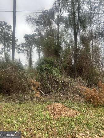 0.42 Acres of Residential Land for Sale in Macon, Georgia