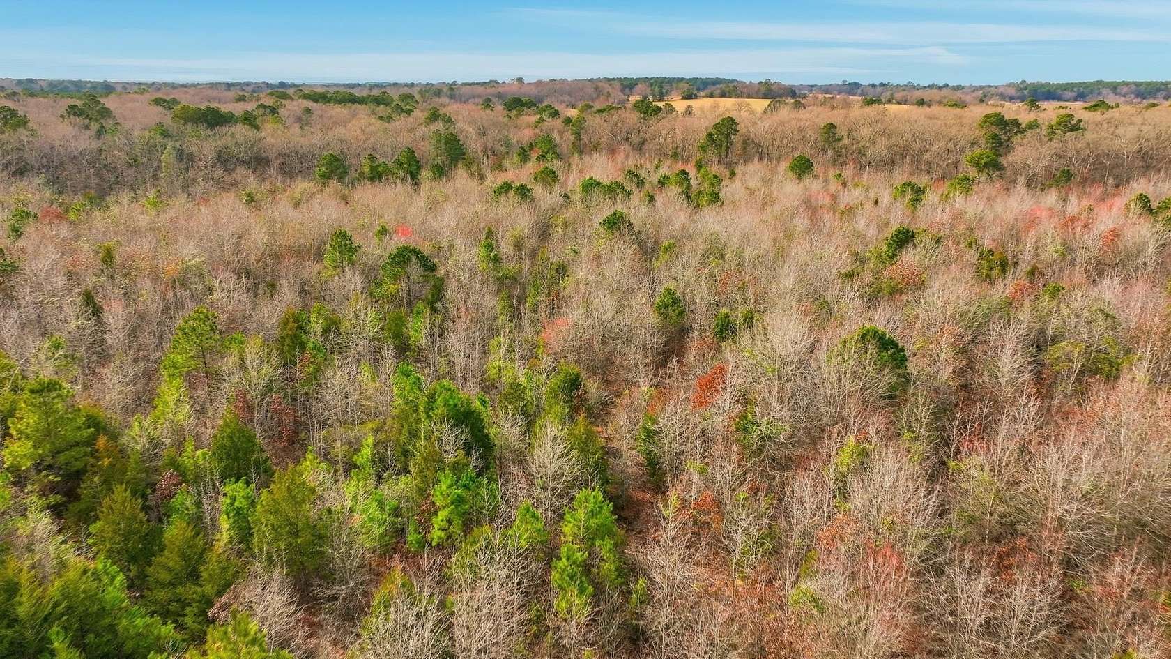 14.1 Acres of Land for Sale in Gilmer, Texas