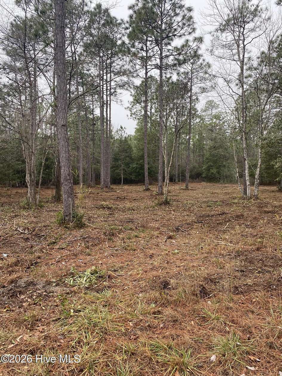 0.48 Acres of Residential Land for Sale in Boiling Spring Lakes, North Carolina