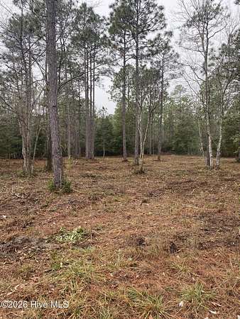 0.48 Acres of Residential Land for Sale in Boiling Spring Lakes, North Carolina
