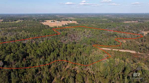 69.3 Acres of Land for Sale in Summerdale, Alabama