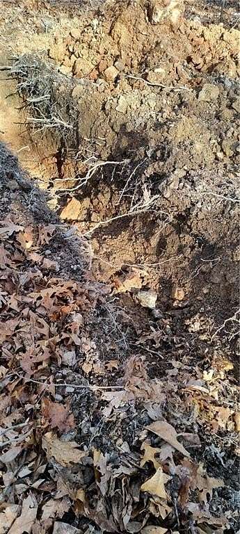 0.3 Acres of Residential Land for Sale in Bella Vista, Arkansas