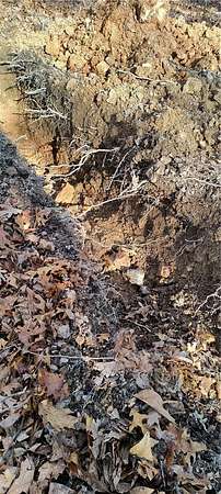 0.3 Acres of Residential Land for Sale in Bella Vista, Arkansas