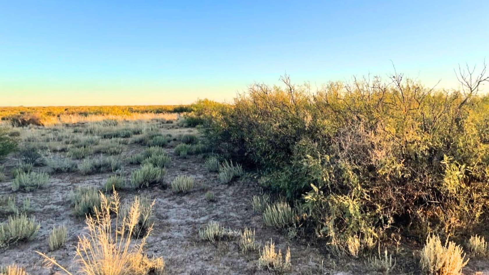 2.15 Acres of Residential Land for Sale in Deming, New Mexico