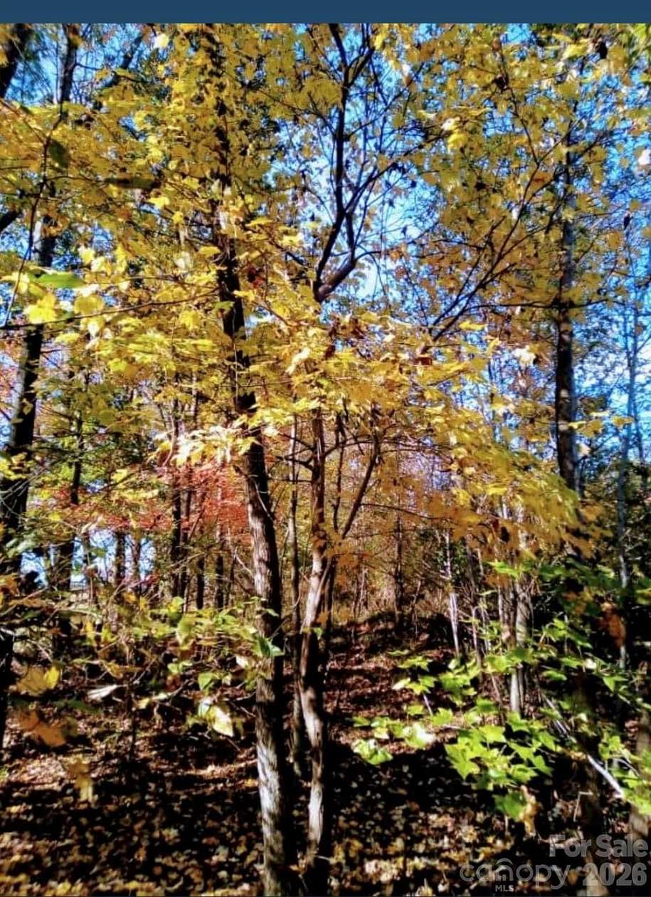 10 Acres of Residential Land for Sale in Waxhaw, North Carolina