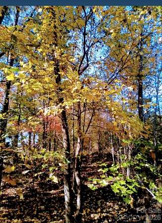 10 Acres of Residential Land for Sale in Waxhaw, North Carolina