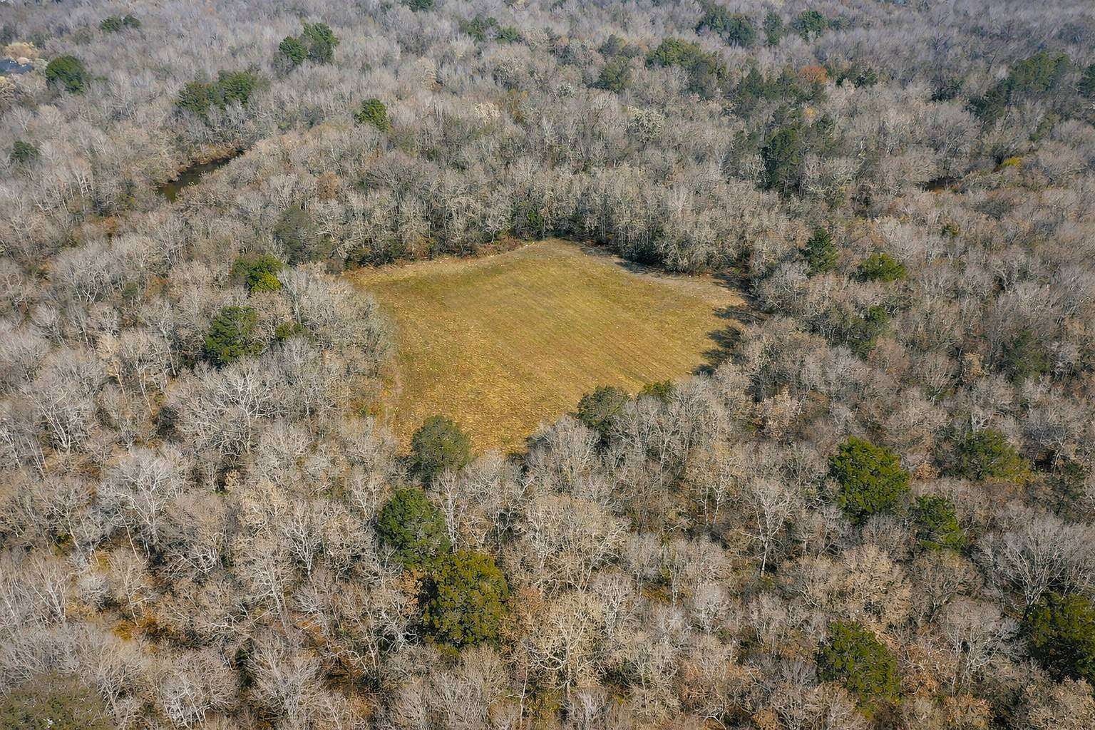340 Acres of Recreational Land for Sale in Greenville, Alabama