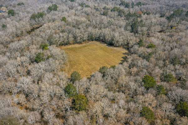 340 Acres of Recreational Land for Sale in Greenville, Alabama
