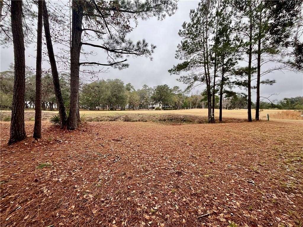 0.58 Acres of Residential Land for Sale in Townsend, Georgia
