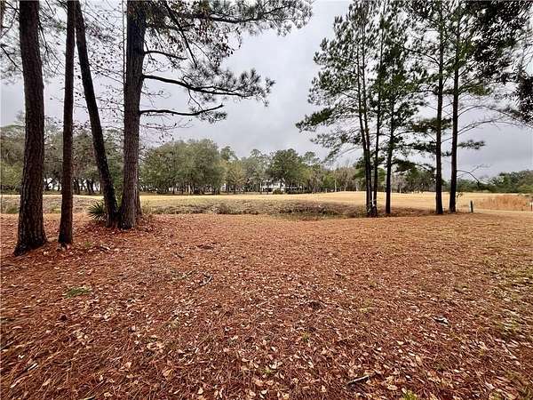 0.58 Acres of Residential Land for Sale in Townsend, Georgia