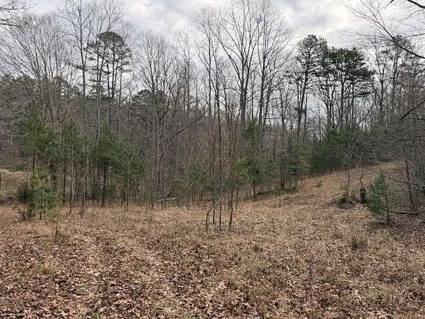 30 Acres of Land for Sale in Morganton, Georgia