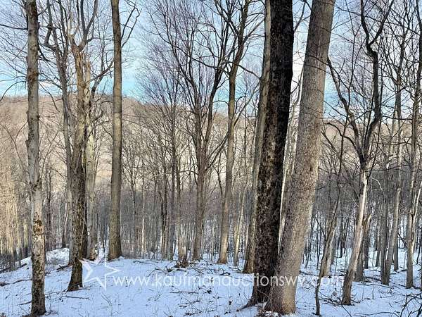 16.2 Acres of Recreational & Residential Land for Auction in New Martinsville, West Virginia