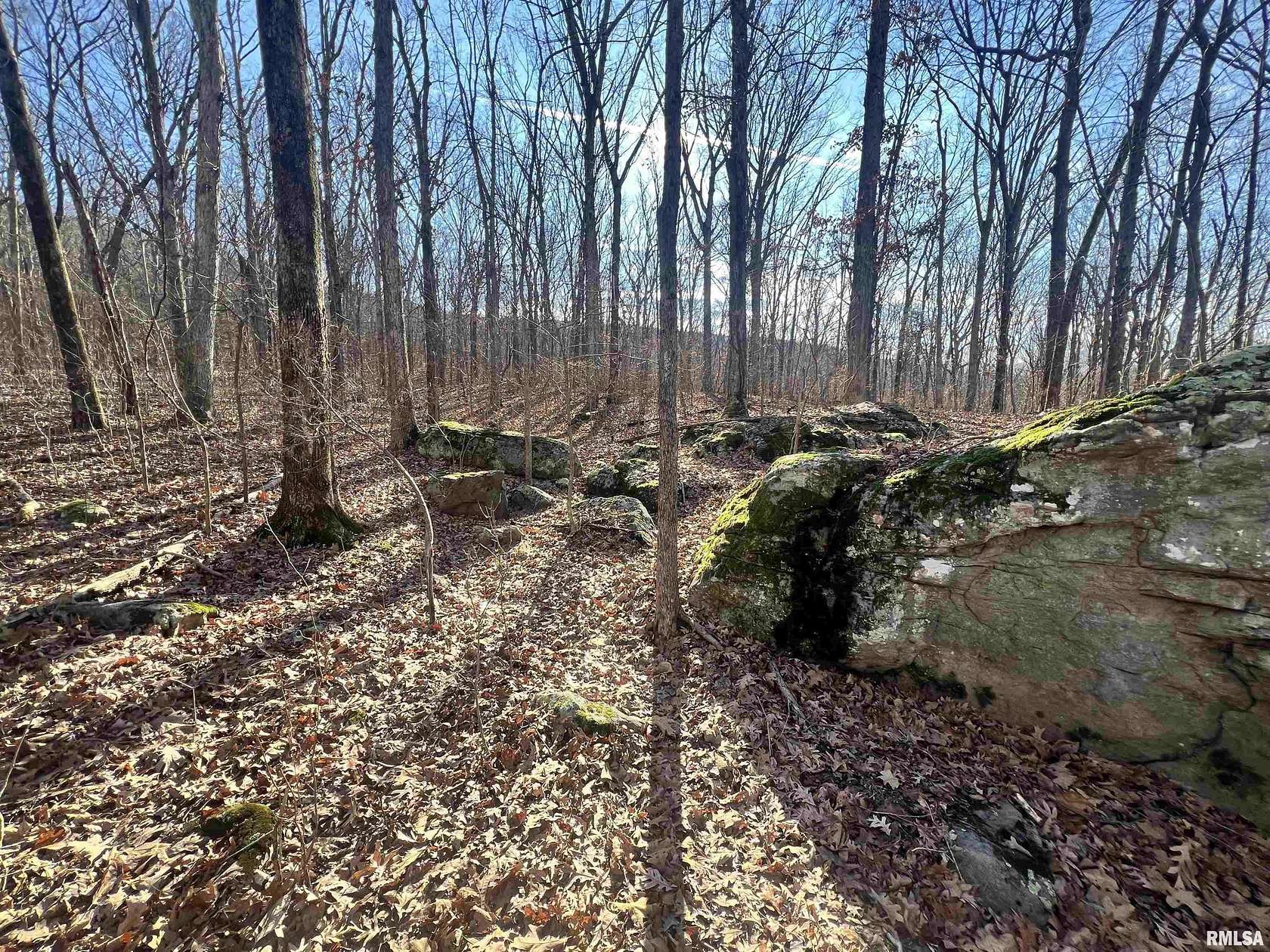 80 Acres of Recreational Land & Farm for Sale in Harrisburg, Illinois