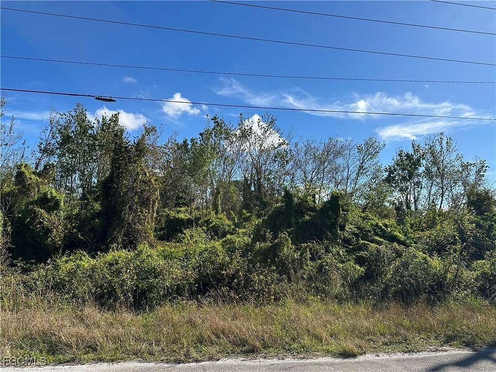 0.24 Acres of Residential Land for Sale in Lehigh Acres, Florida