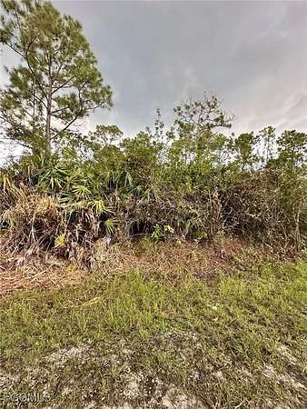 0.5 Acres of Land for Sale in Lehigh Acres, Florida