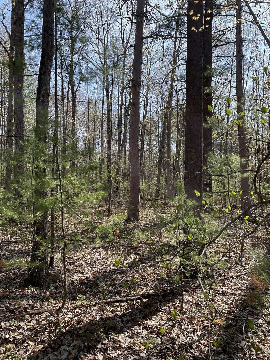 Land for Sale in Topinabee, Michigan