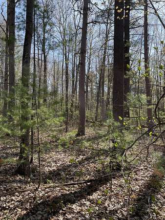 Land for Sale in Topinabee, Michigan