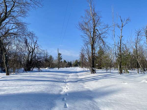 10 Acres of Recreational Land for Sale in Gaylord, Michigan
