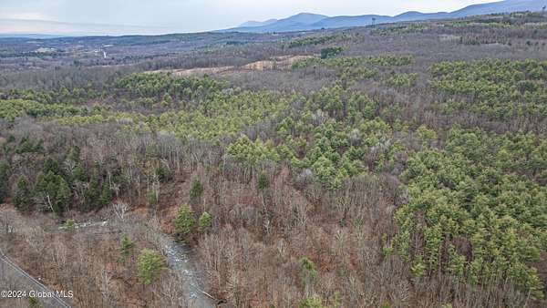 71 Acres of Recreational Land for Sale in Preston Hollow, New York