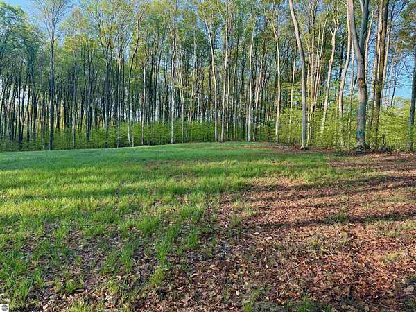 5 Acres of Land for Sale in Maple City, Michigan