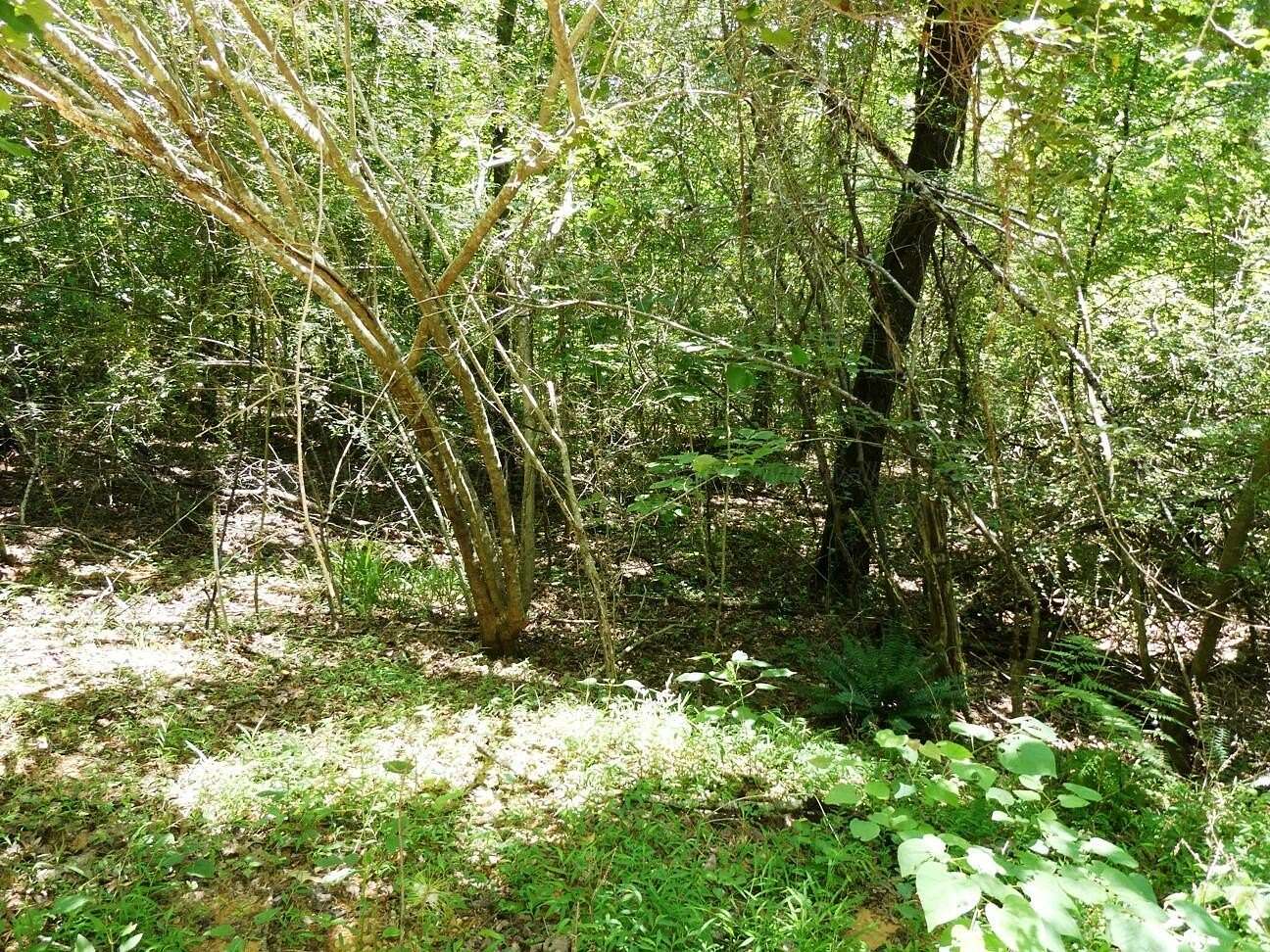 2.8 Acres of Residential Land for Sale in Houston, Alabama