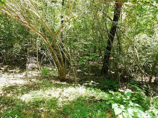 2.8 Acres of Residential Land for Sale in Houston, Alabama