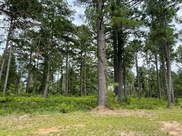 16.9 Acres of Land for Sale in Jena, Louisiana