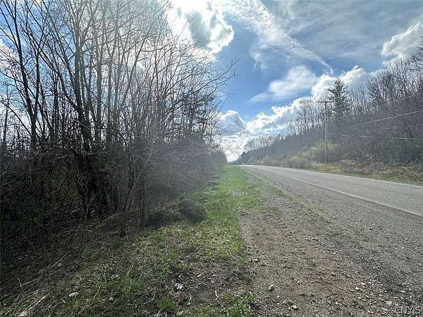 10.5 Acres of Recreational Land for Sale in Friendship, New York