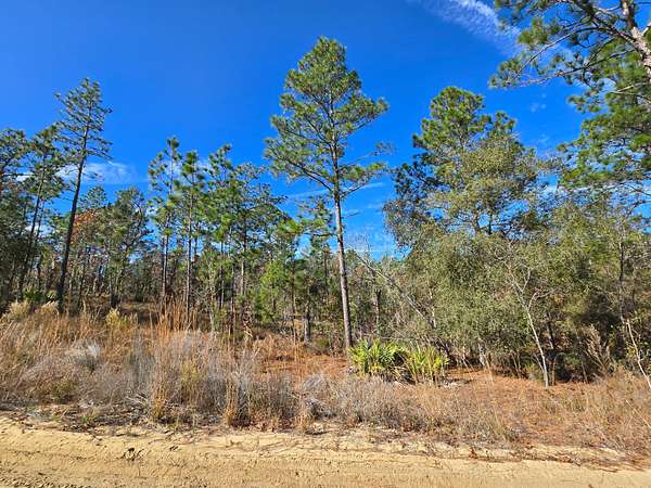 0.22 Acres of Residential Land for Sale in Interlachen, Florida