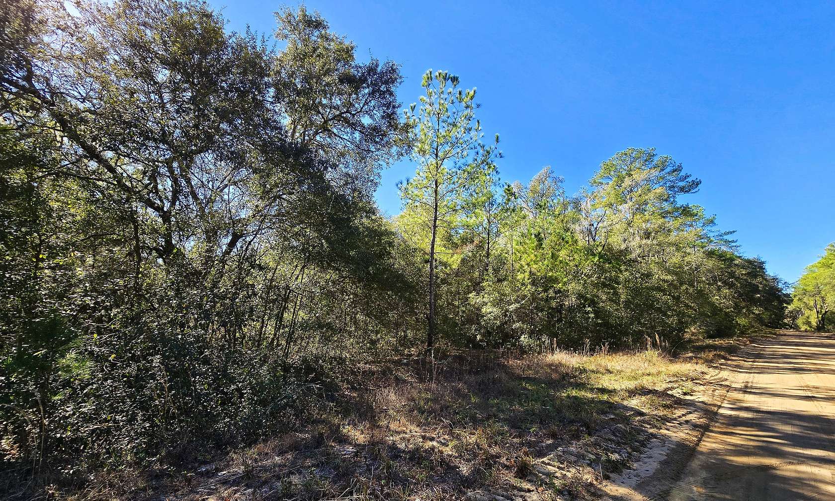 0.22 Acres of Residential Land for Sale in Interlachen, Florida