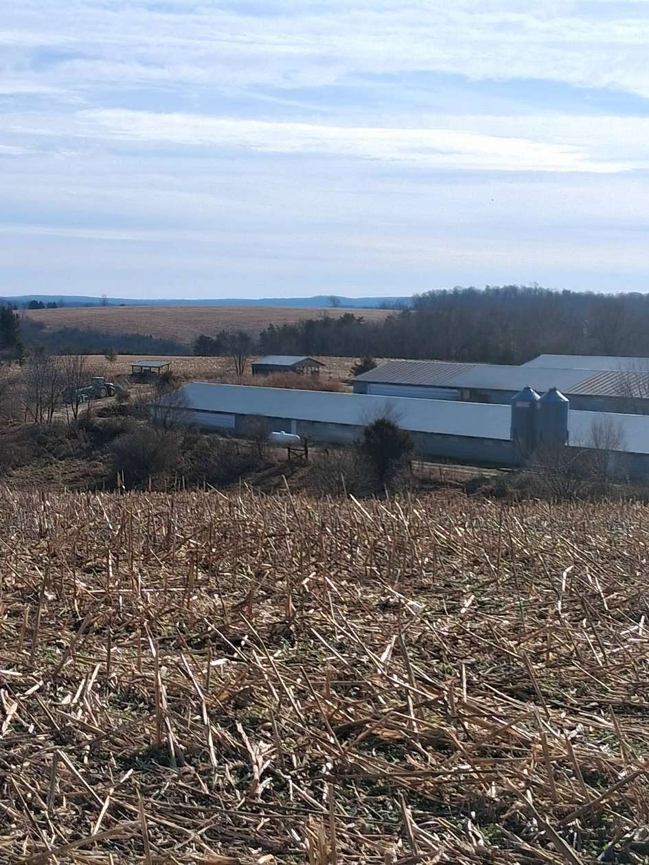 48.2 Acres of Agricultural Land with Home for Sale in Augusta, West Virginia