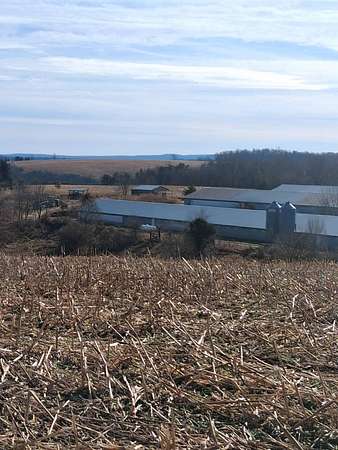 48.2 Acres of Agricultural Land with Home for Sale in Augusta, West Virginia