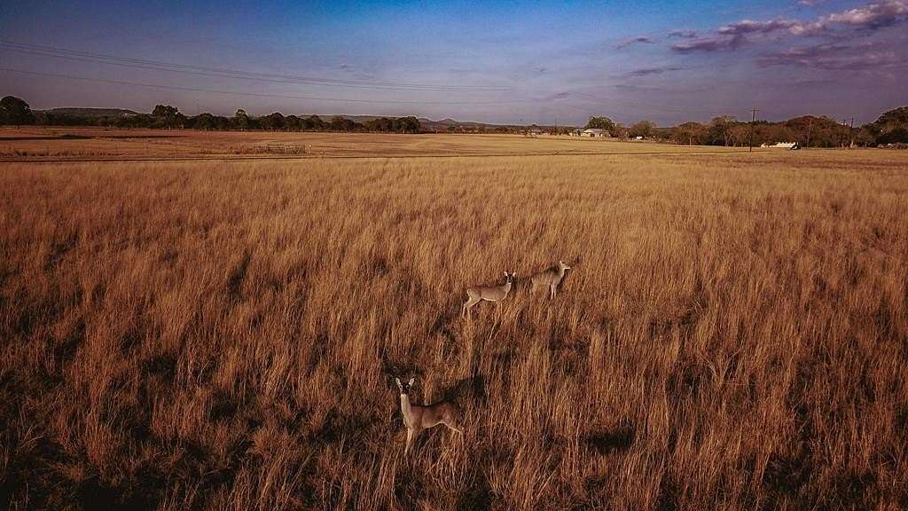 10 Acres of Land for Sale in Center Point, Texas