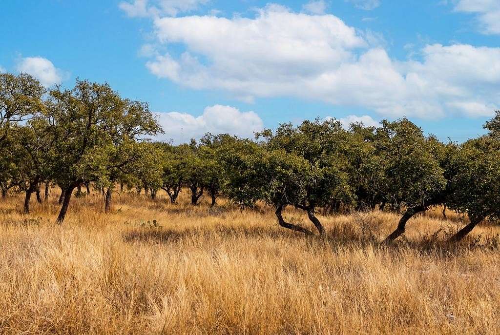 8.63 Acres of Residential Land for Sale in Kerrville, Texas