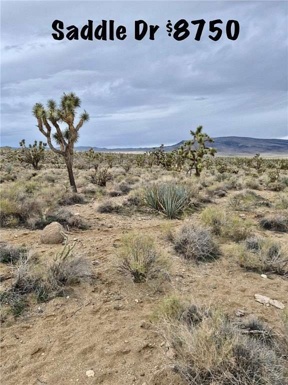 1 Acre of Land for Sale in Dolan Springs, Arizona