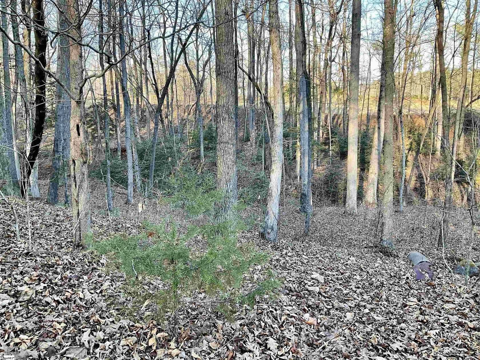 0.44 Acres of Residential Land for Sale in Travelers Rest, South Carolina