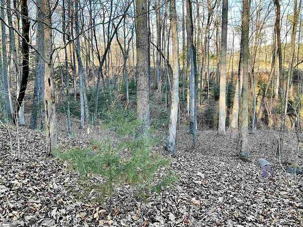 0.44 Acres of Residential Land for Sale in Travelers Rest, South Carolina