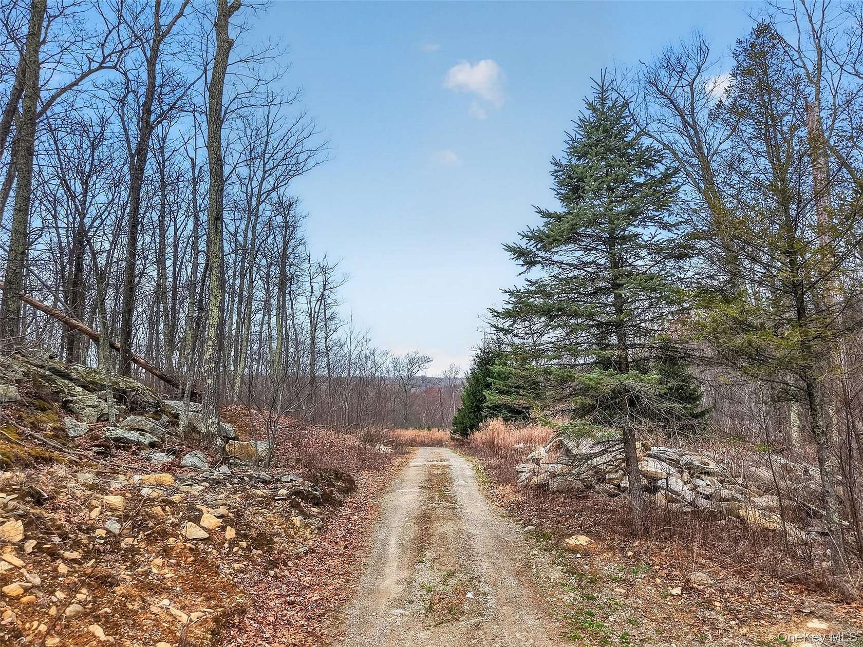 75.3 Acres of Recreational & Residential Land for Sale in Holmes, New York