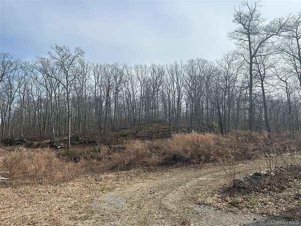 75.3 Acres of Recreational & Residential Land for Sale in Holmes, New York