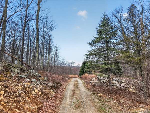75.3 Acres of Recreational & Residential Land for Sale in Holmes, New York