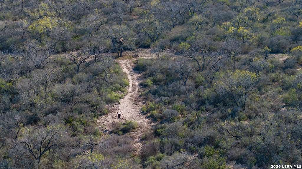 Land for Sale in Campbellton, Texas