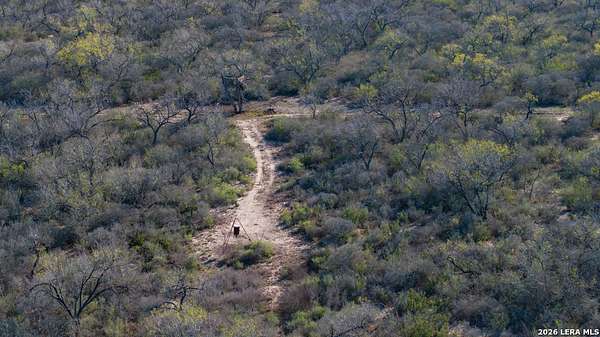 69.7 Acres of Recreational Land for Sale in Campbellton, Texas