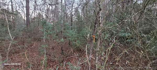 4.69 Acres of Residential Land for Sale in Fayetteville, North Carolina