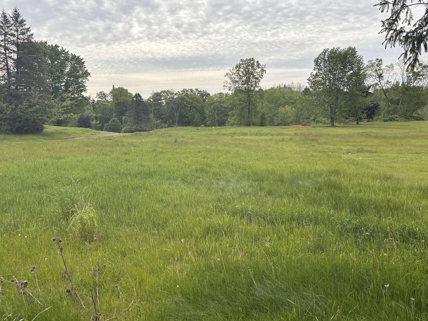3 Acres of Residential Land for Sale in Ravenna, Michigan