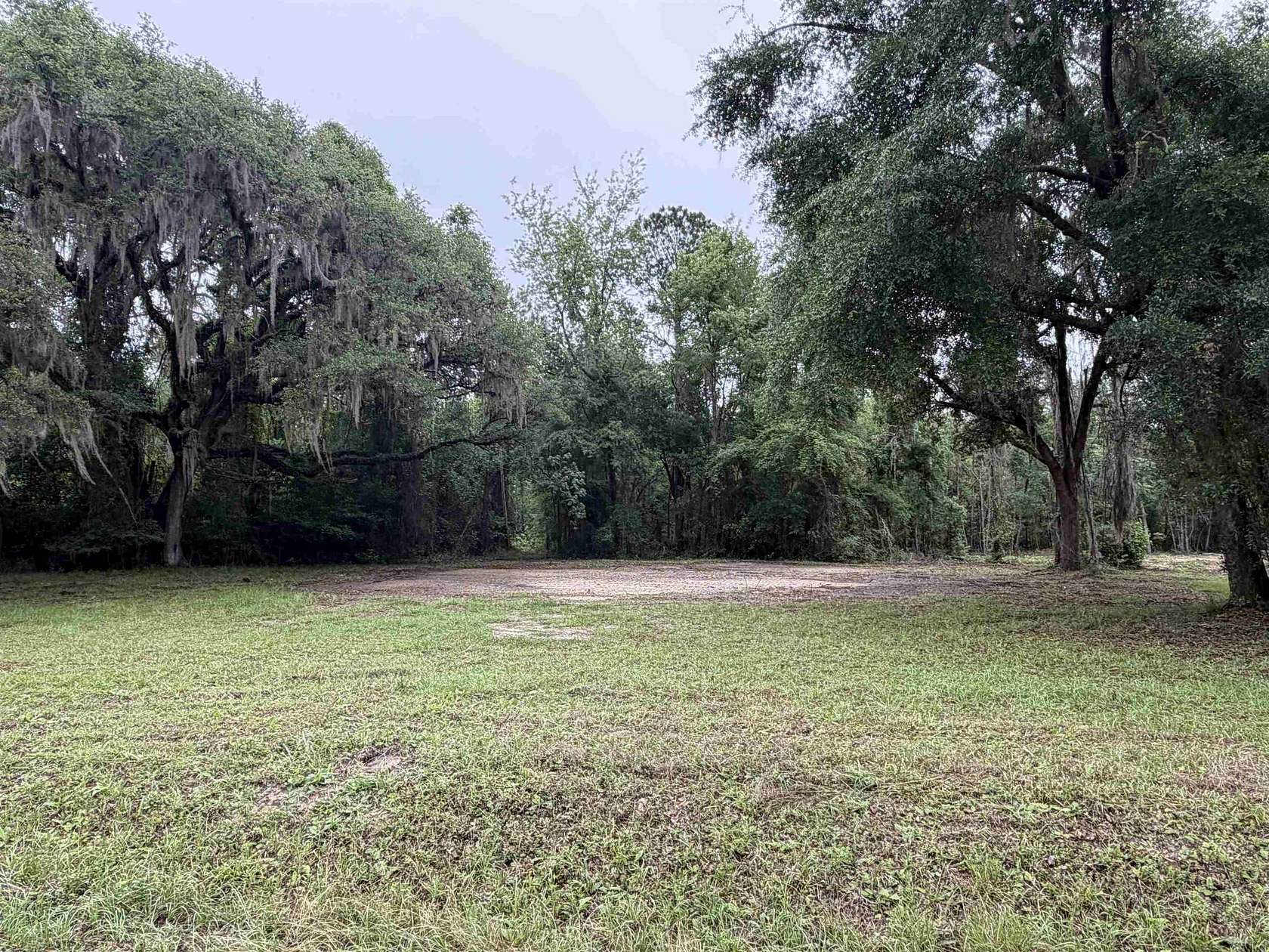 29.7 Acres of Recreational & Residential Land for Sale in Pinetta, Florida