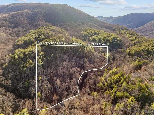 10 Acres of Residential Land for Sale in Chatsworth, Georgia
