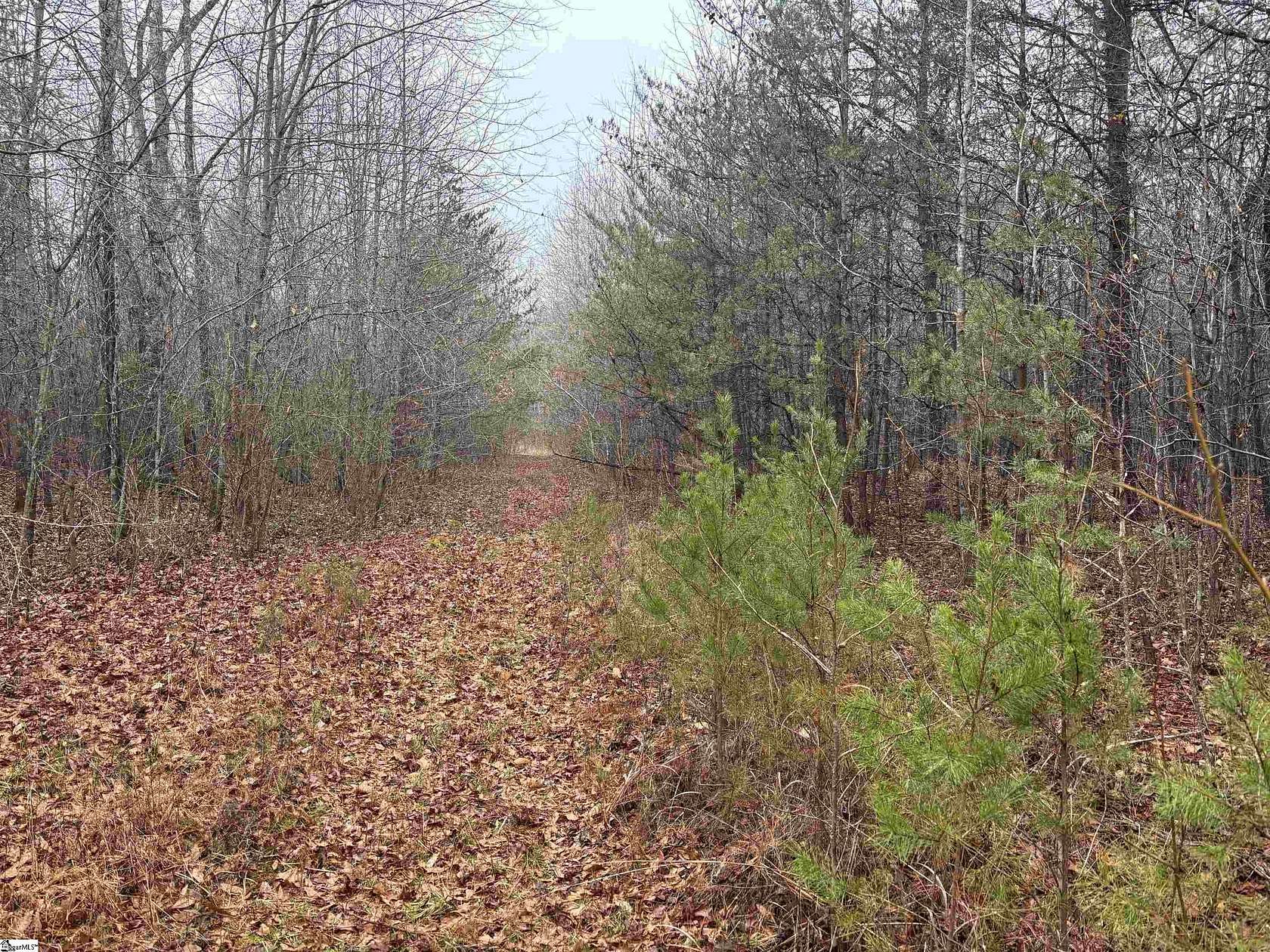 14.8 Acres of Land for Sale in Landrum, South Carolina