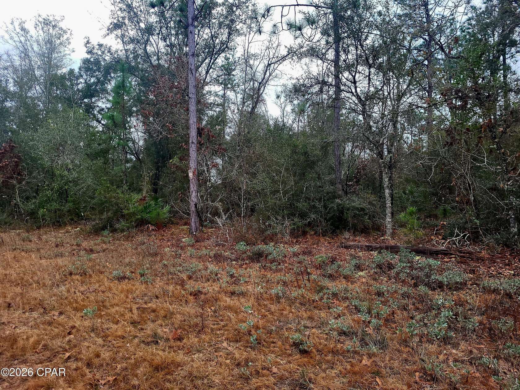 1.3 Acres of Residential Land for Sale in Marianna, Florida
