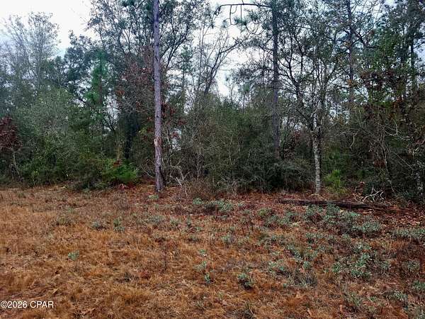 1.3 Acres of Residential Land for Sale in Marianna, Florida