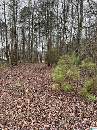 4.6 Acres of Residential Land for Sale in Woodland, Alabama